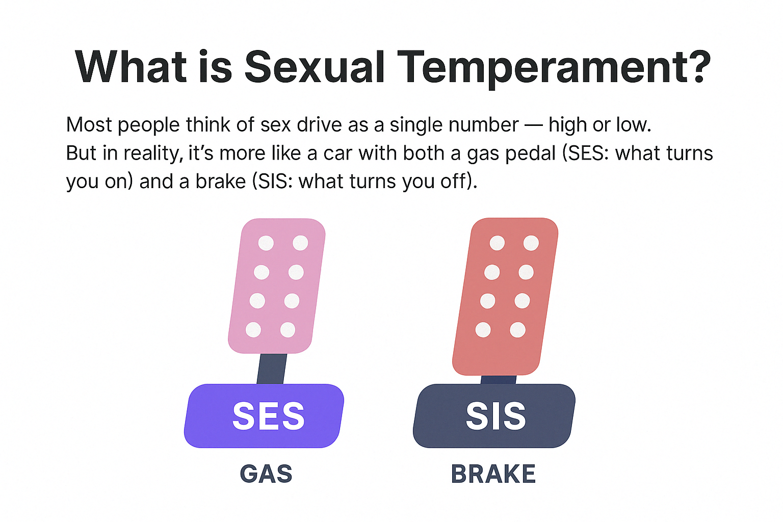 Sexual temperament car pedals: brake and accelerator